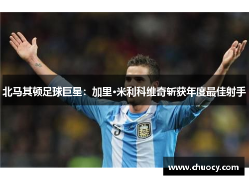 北马其顿足球巨星：加里·米利科维奇斩获年度最佳射手